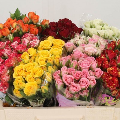 Rose Spray Mix 60cm